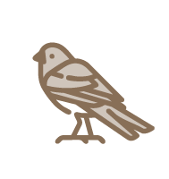 Tumbeta Family Camp: Standard Unit | Bird Life