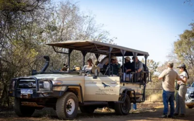 Tumbeta Africa Supports Waterberg Wild Dog Conservation Project