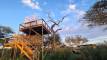 Tree House Experience